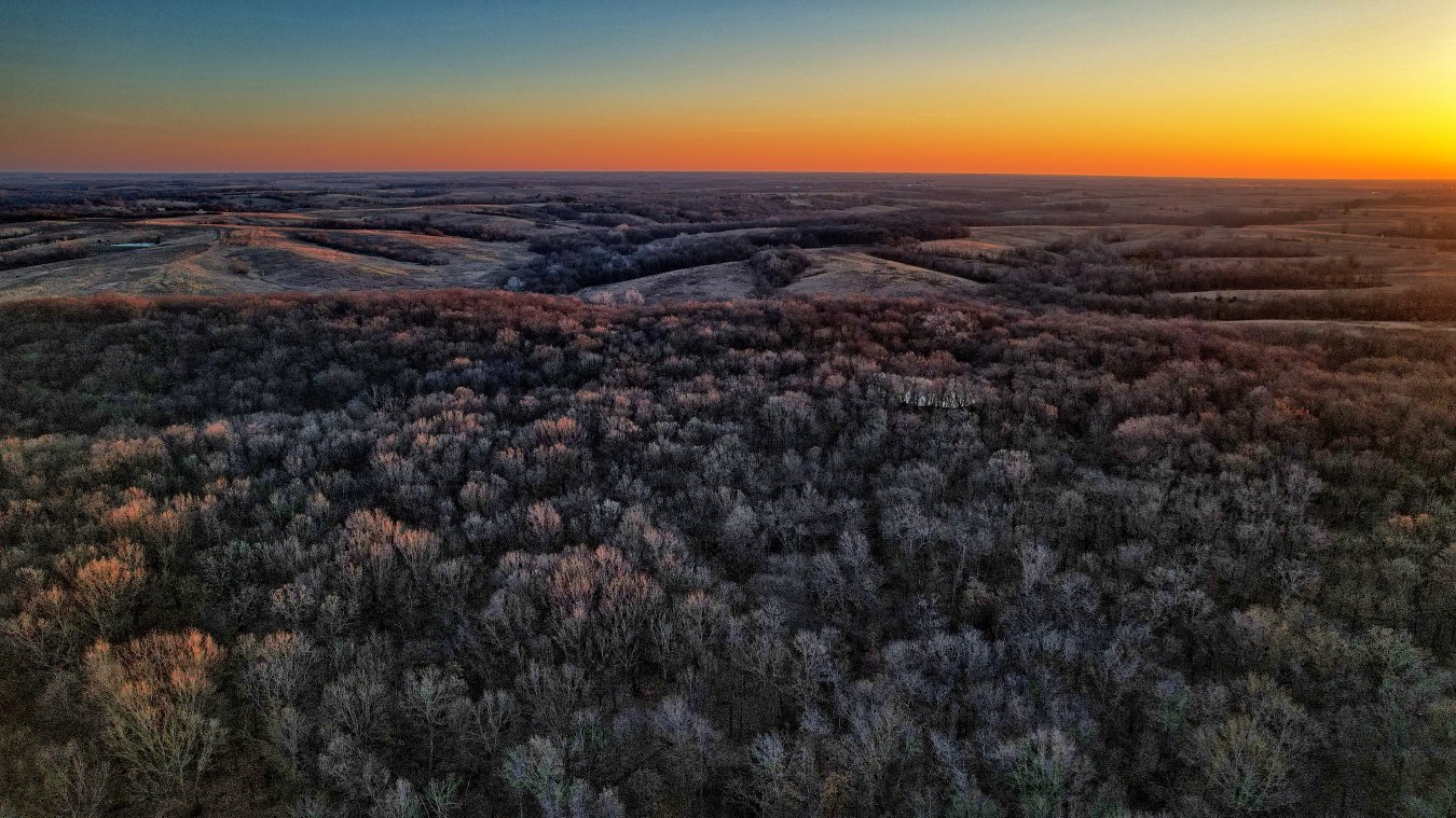 Wayne County, Iowa 83 Acres Hunting Land for sale w/cabin Southern