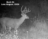 yesbuck8a