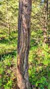 10dlyesPXL_20260424_141841875_easyHDR-dramatic-bright