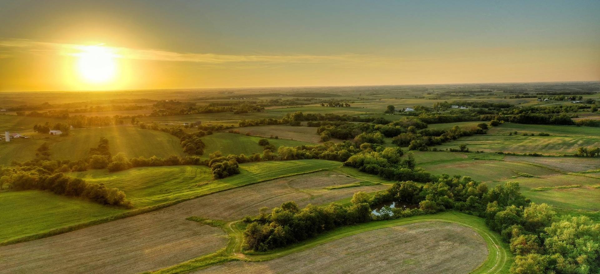 Southern Iowa Land Sales Iowa Hunting, Farms & Investment Land For Sale