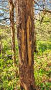 10djyesPXL_20260424_141937649_easyHDR-dramatic-bright
