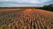 DJI_0600_1_2_easyHDR1