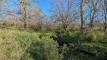 38yesPXL_20260424_132221675_easyHDR-natural