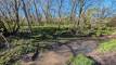 10doyesPXL_20260424_132901501_easyHDR-natural