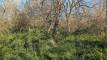 10dnyesPXL_20260424_132351299_easyHDR-natural