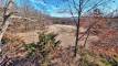17groundPXL_20260216_161241786_easyHDR1