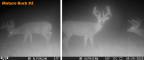6buck2_easyHDR-natural