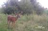 yesbuck4SYFW0067