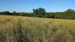 PXL_20260612_121324175_easyHDR-natural