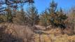 groundPXL_20260216_170453762_easyHDR-default