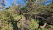 40ayesPXL_20260424_142140814_easyHDR-natural