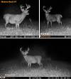 5buck1_easyHDR-night-strong