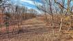 16groundPXL_20260216_150700814_easyHDR-dramatic-bright
