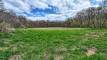 23PXL_20260422_164610263_easyHDR-dramatic-bright