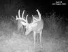yesbuck3SYFW0425