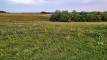 15drone_deer1DJI_0415_6_7_easyHDR-dramatic-bright
