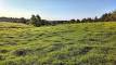 42yesPXL_20260817_122624930_easyHDR