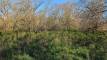 39yesPXL_20260424_132812579_easyHDR-natural