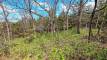 PXL_20260422_175229997_easyHDR-high-contrast