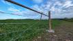 35PXL_20260429_124256647_easyHDR-natural2