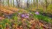 PXL_20260422_123257142_easyHDR-high-contrast4