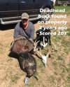deadhead_buck_207