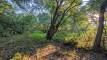 yesPXL_20260826_125620182_easyHDR-natural3