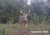 6gsep_buck1
