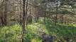10dpyesPXL_20260424_141904625_easyHDR-natural